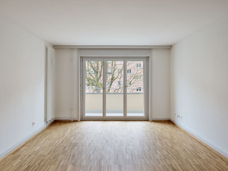 Living in "Breitsch", relaxed and central (5)