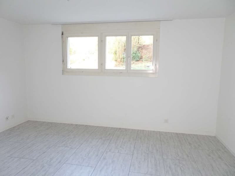 Office/Commercial Space in Central Location in Geroldswil (4)