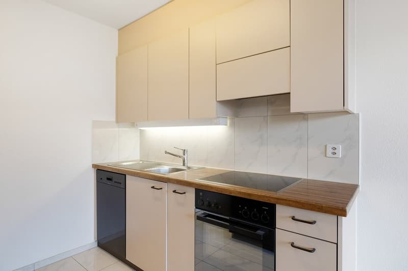 Appartement lumineux dans le Liestal urbain avec vue rurale (3)