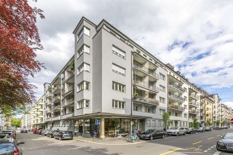 Bello appartamento nel centro di Lucerna (1)