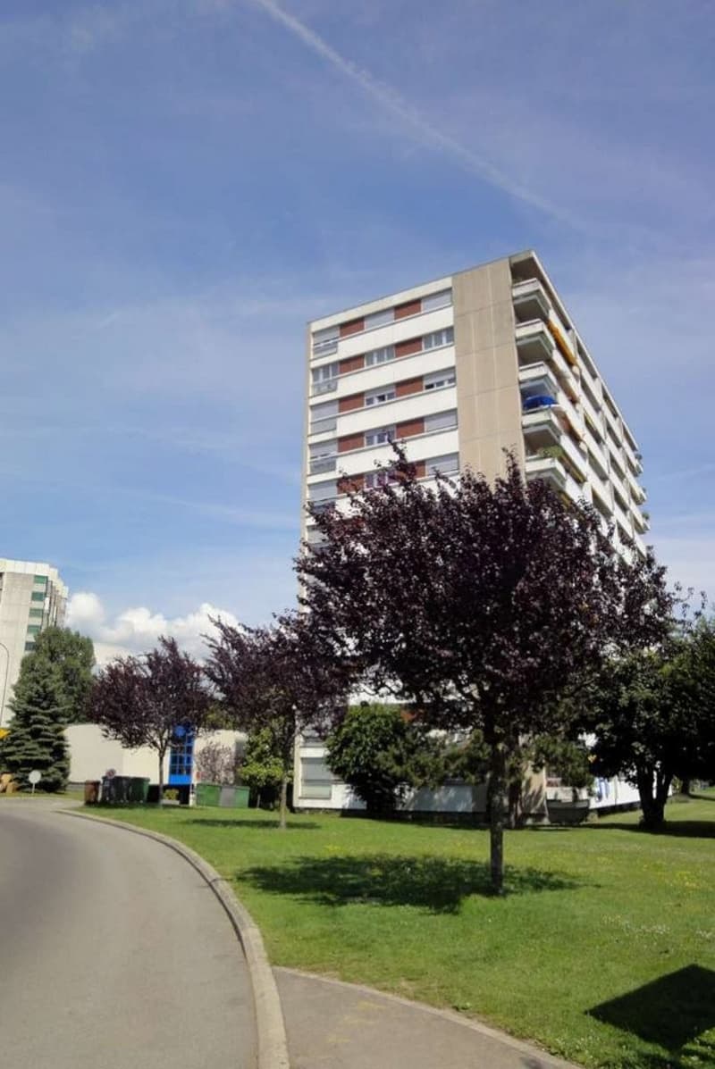 Close to all amenities - Quiet neighborhood (6)