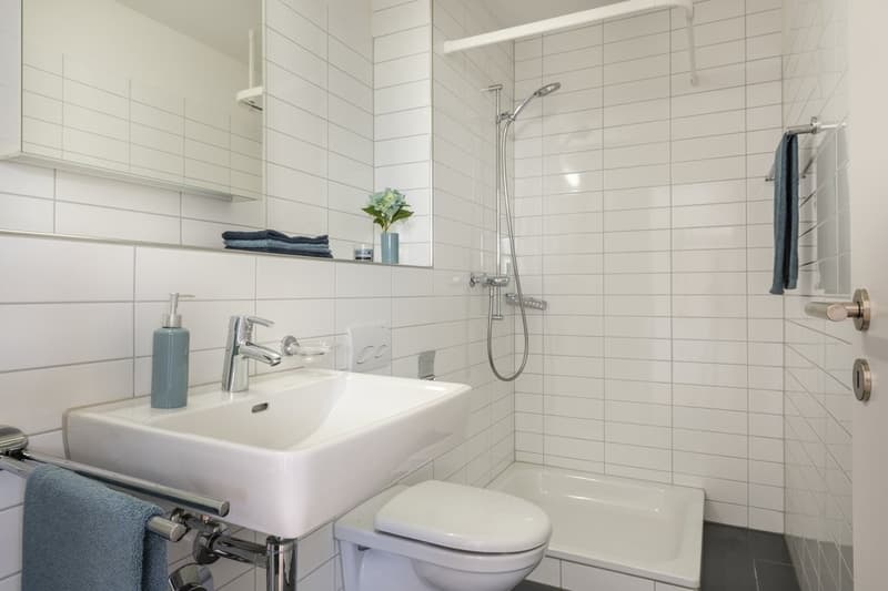 01442_02_0003_WC_DUSCHE.jpg