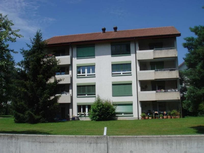 Wunderschöne Grünlage - mit Lift und eigenem Waschturm (1)