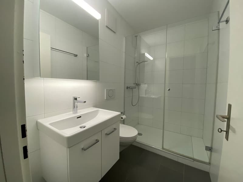 Ampio appartamento a Kehrsatz (9)
