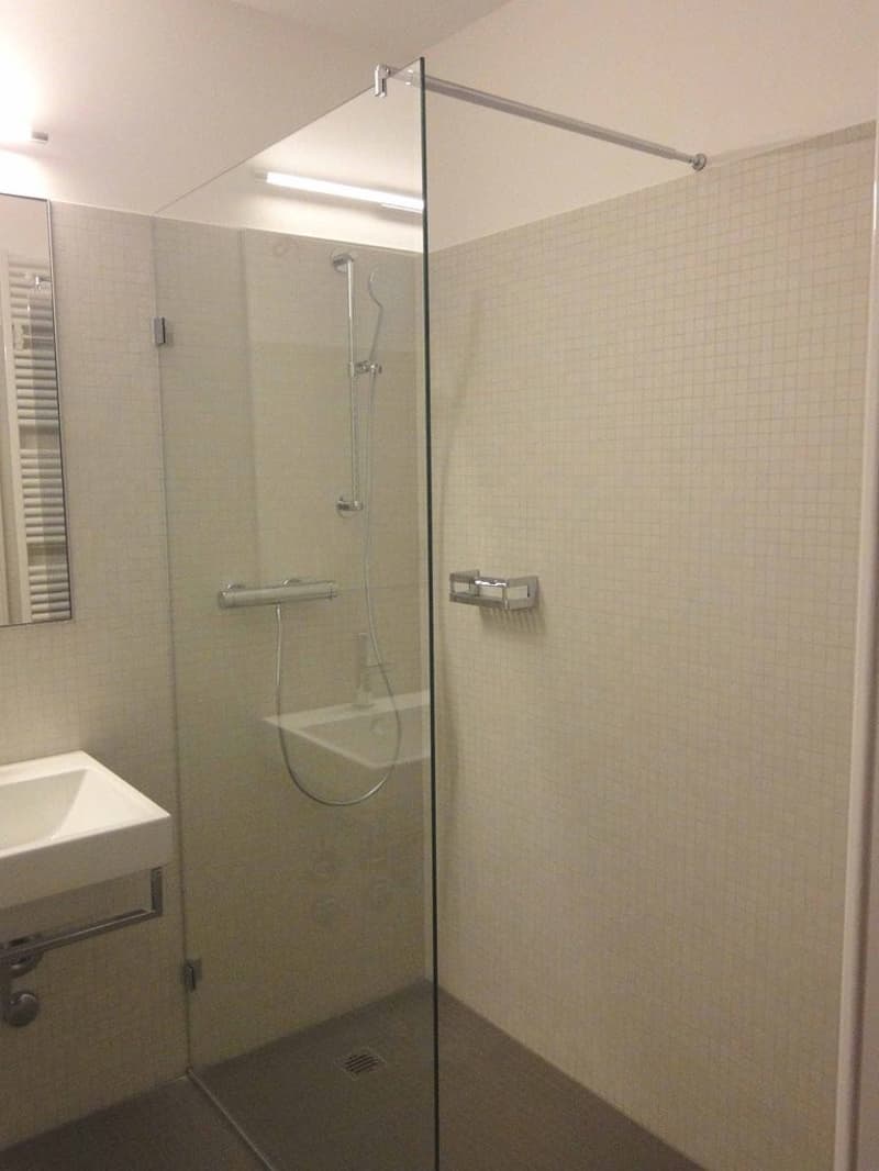 Sanierter Altbau im St. Johann (4)