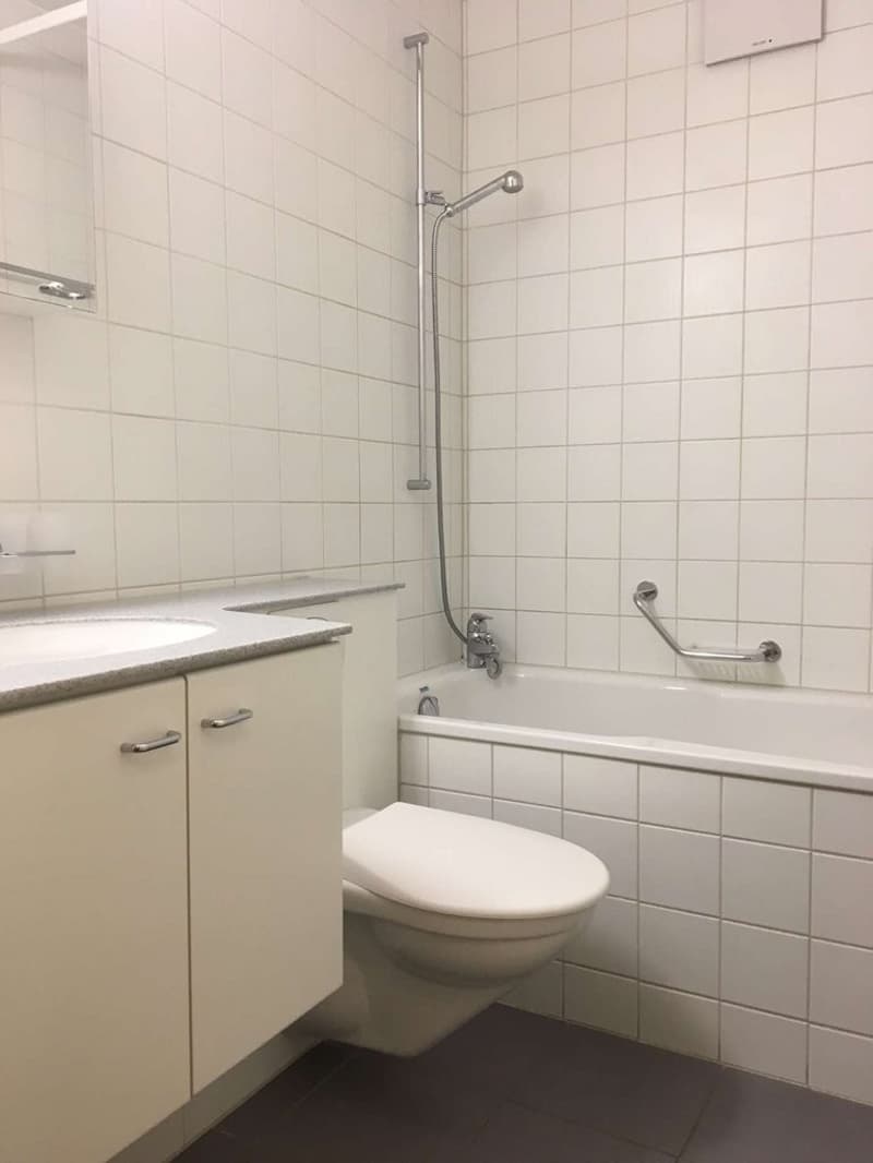 Attractive apartment in the city center (5)
