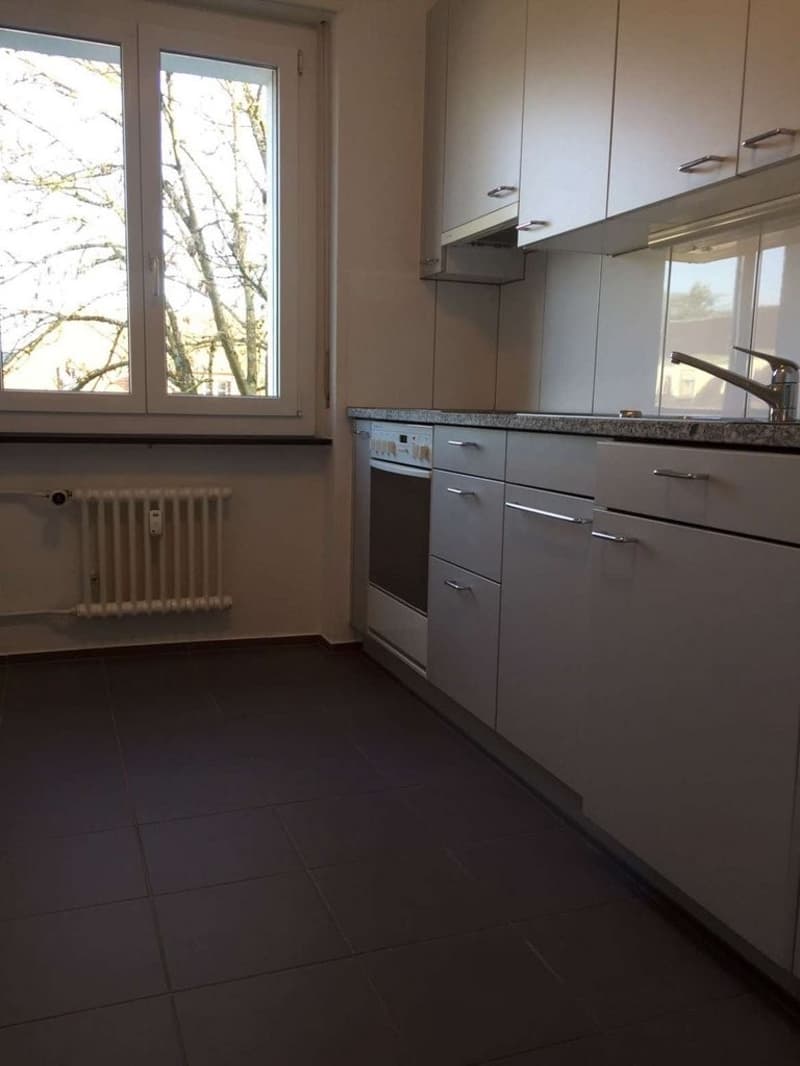 Attractive apartment in the city center (3)