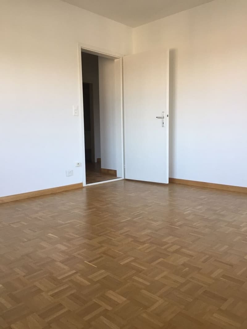 Attractive apartment in the city center (4)