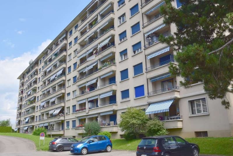Außenparkplatz in der Nähe des Bahnhofs Renens (1)