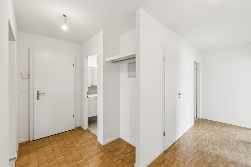 Frisch sanierte 4.5-Zimmerwohnung an bester Lage in Pratteln (2)