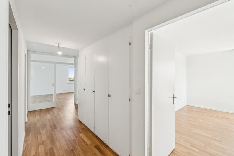 Frisch sanierte 4.5-Zimmerwohnung an bester Lage in Pratteln (3)