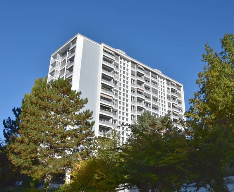 Superbe logement rénové (8)