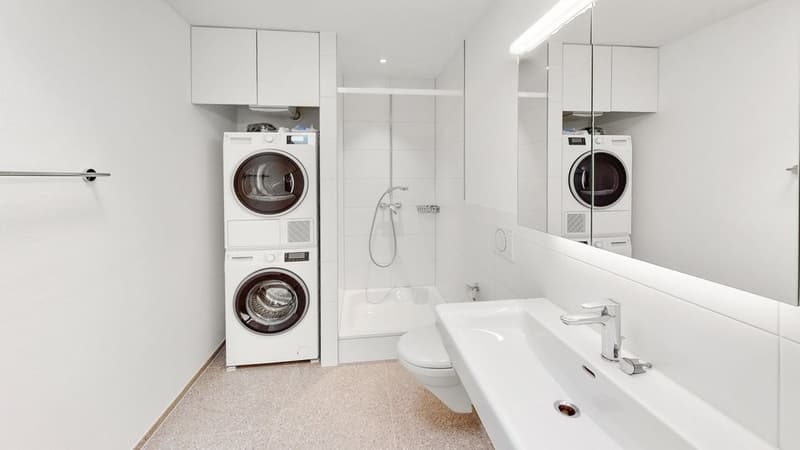 Seefeld_Luzern_6.4.2_Dusche_WC.jpg