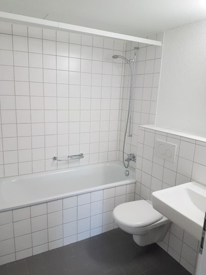 Appartamento moderno 2.5 locali con balcone in posizione centrale (5)