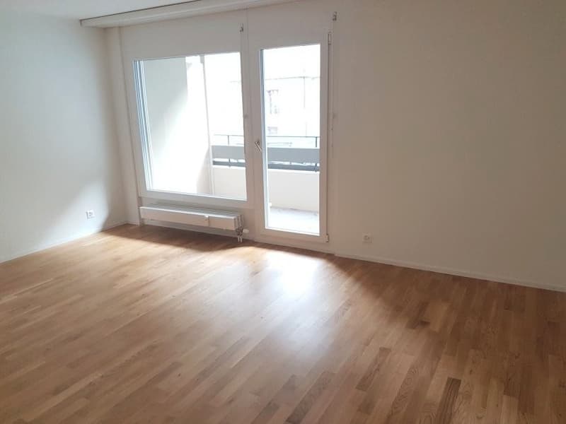 Appartamento moderno 2.5 locali con balcone in posizione centrale (4)