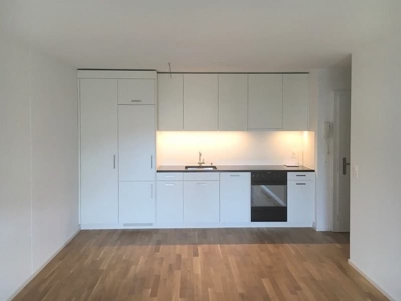 Appartamento moderno 2.5 locali con balcone in posizione centrale (2)