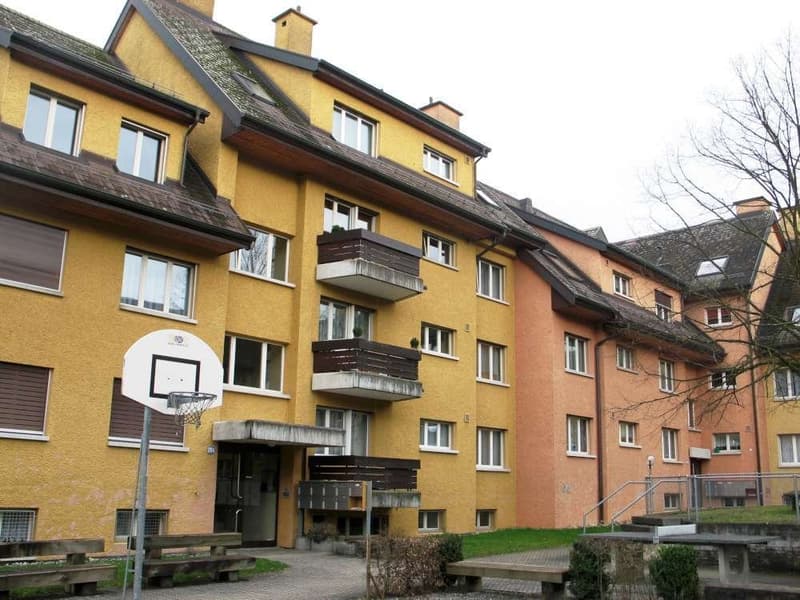 Frisch sanierte 3 1/2 Zimmer Wohnung im Erdgeschoss! (1)