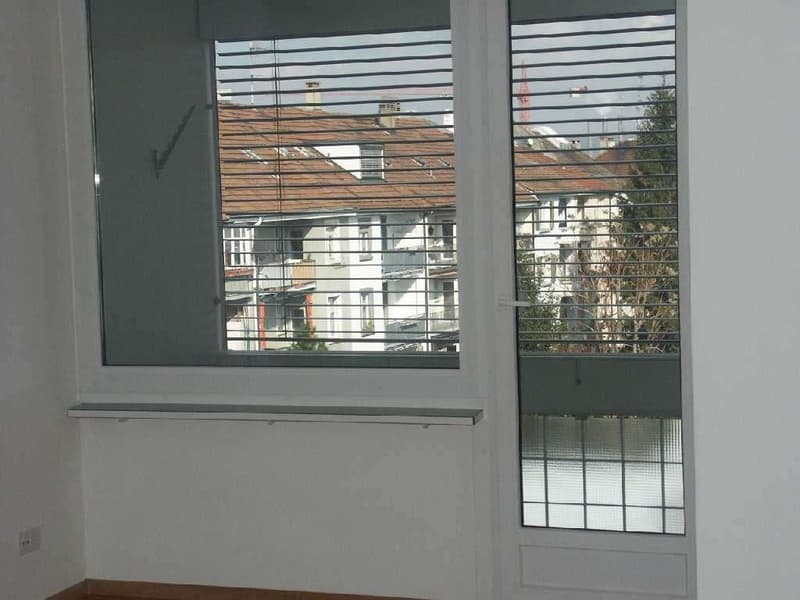 Nähe Kantonsspital / Uni (4)