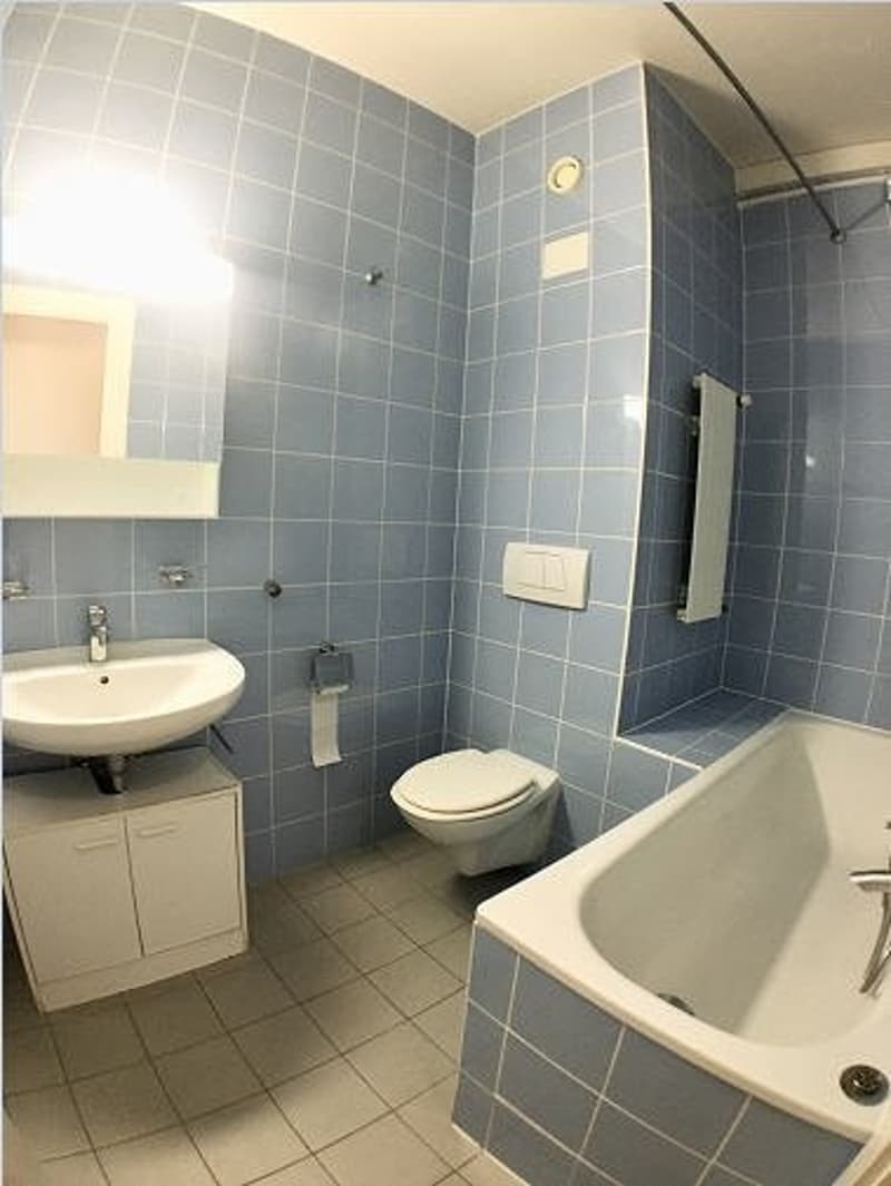 Charmant 2.5 pièces au 2e étage d'un immeuble style ancien (5)