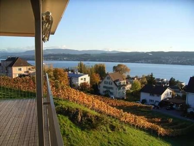 Wohnen mit Aussicht über den Zürichsee (1)