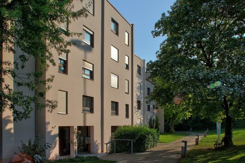 Grosszügige familienfreundlich Wohnung (1)
