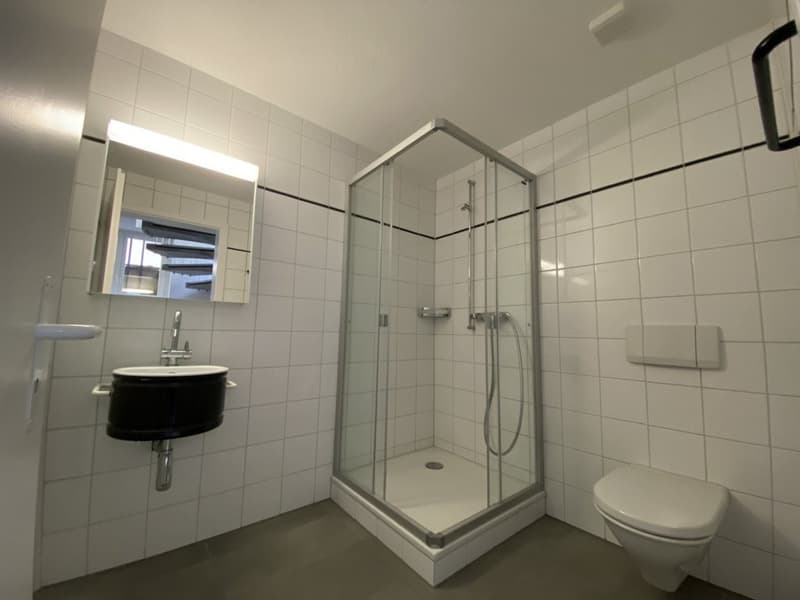 Moderne Wohnung im Länggass-Quartier (9)