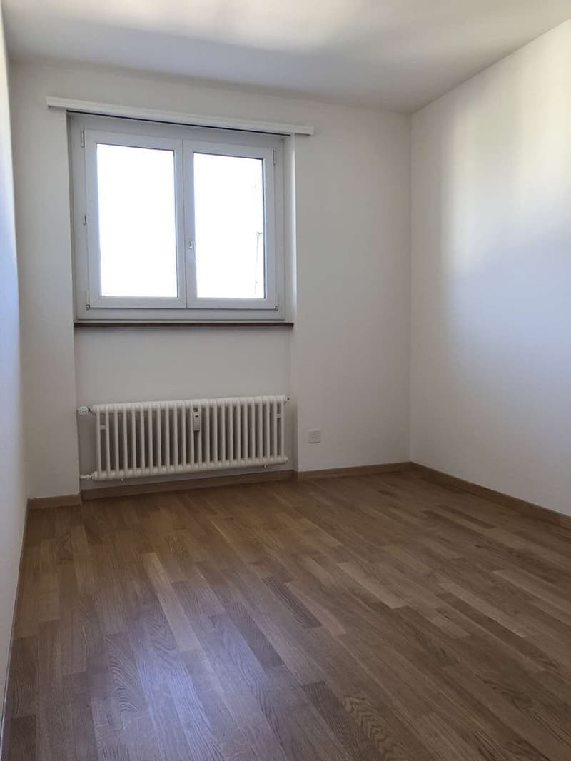 Zentrales Wohnen mit grossem Privatpark (6)