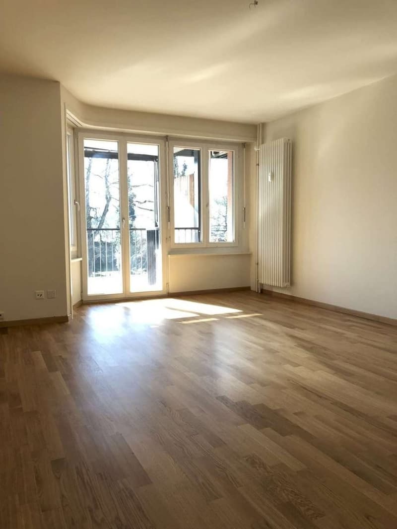 Zentrales Wohnen mit grossem Privatpark (4)