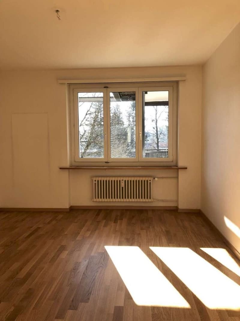 Zentrales Wohnen mit grossem Privatpark (5)