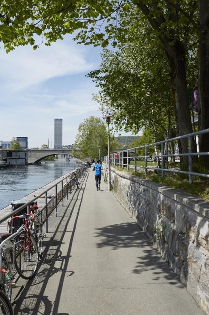 Spazierweg an der Limmat