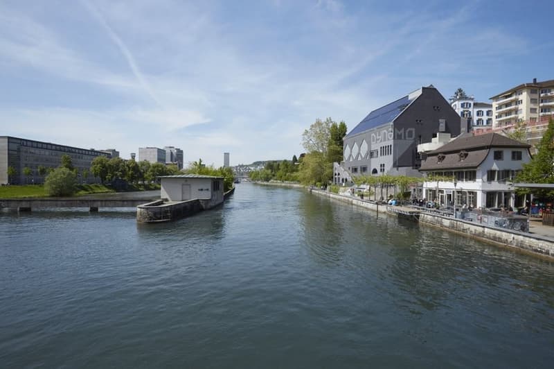Limmat direkt vor der Haustüre