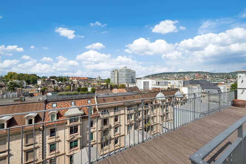 Über den Dächern von Zürich (1)