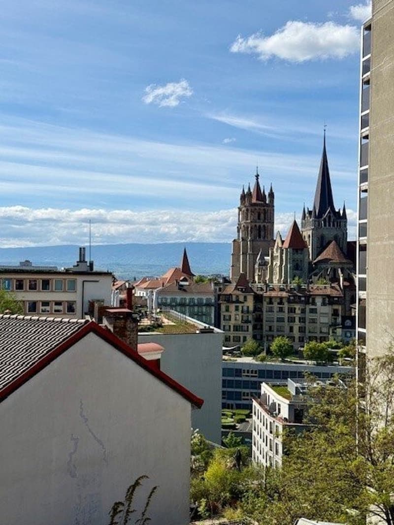 AD_2_-_vu_cathedrale.jpg