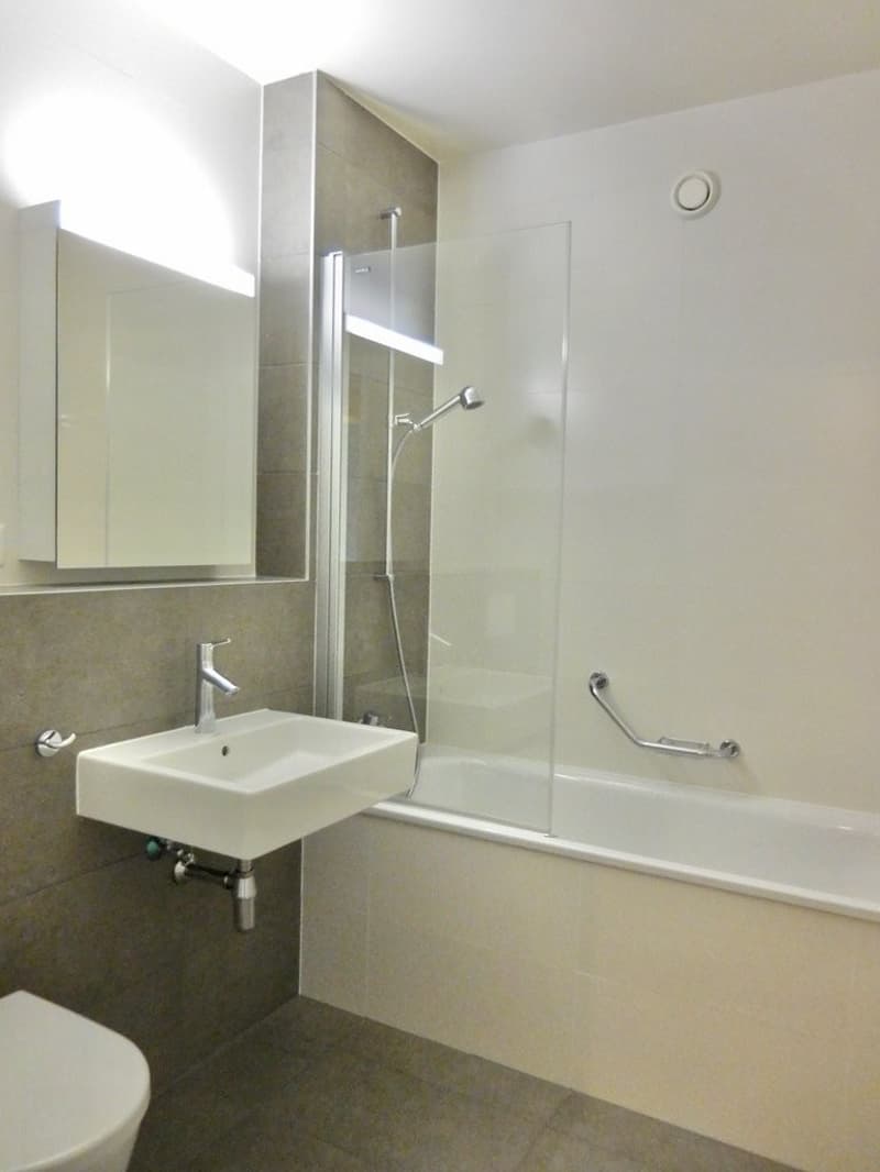 Superbe logement proche du quartier des banques (6)