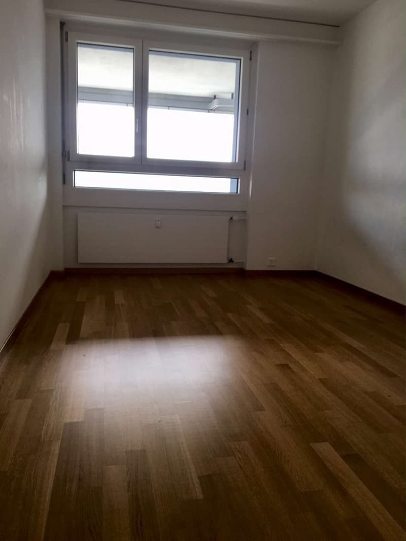 Wohnen mit Aussicht - Ihr neues Zuhause an bester Lage in Solothurn (9)