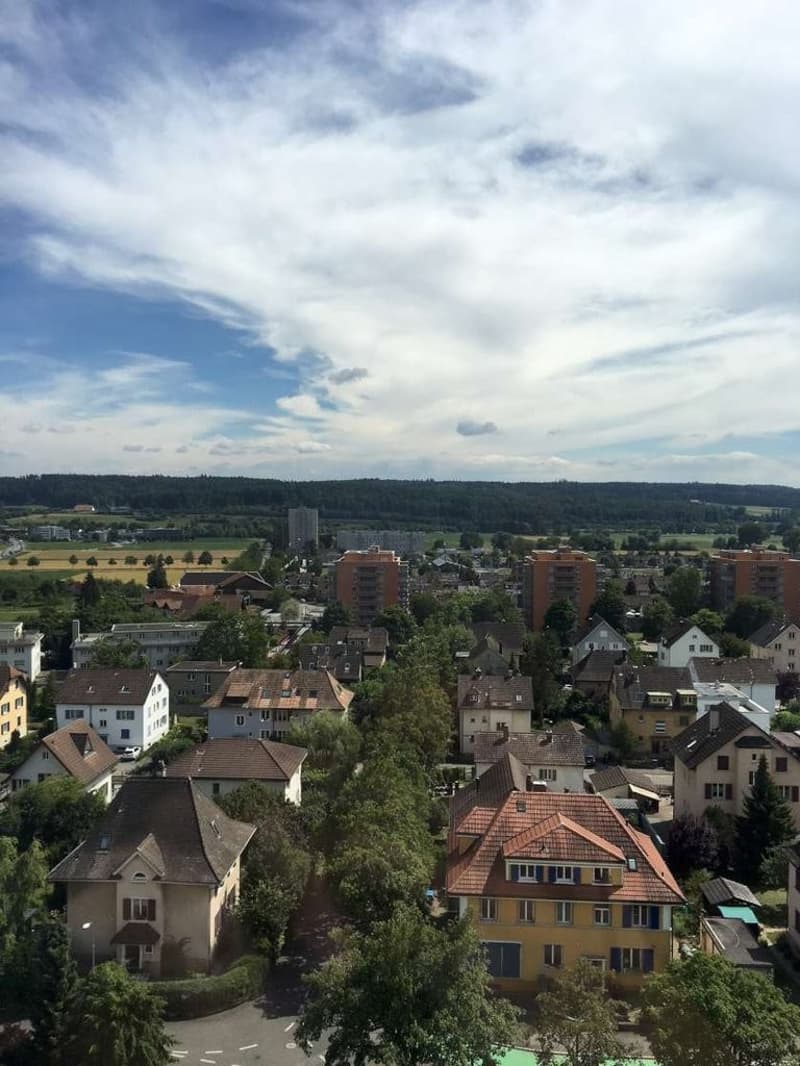 Wohnen mit Aussicht - Ihr neues Zuhause an bester Lage in Solothurn (2)