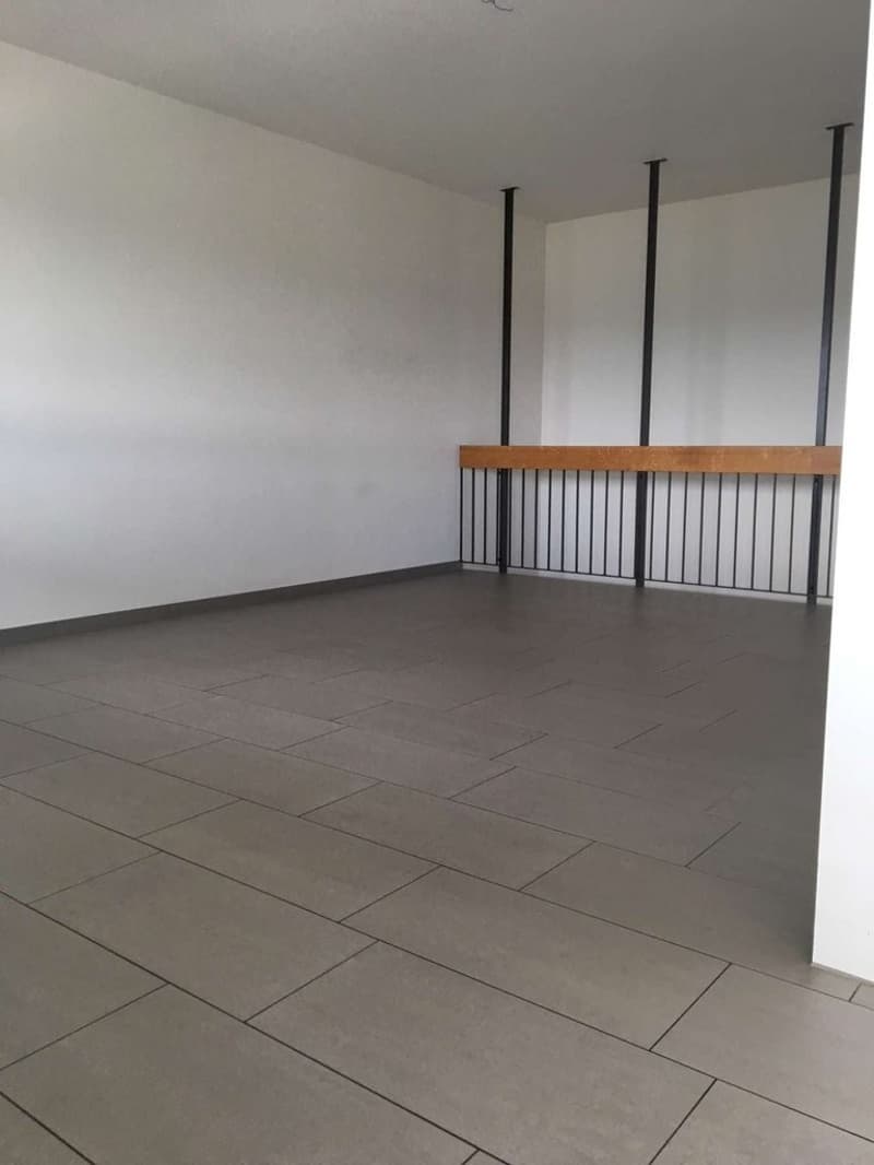 Wohnen mit Aussicht - Ihr neues Zuhause an bester Lage in Solothurn (4)