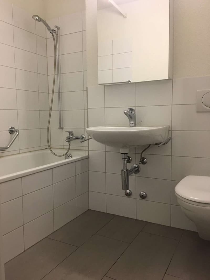 Wohnen mit Aussicht - Ihr neues Zuhause an bester Lage in Solothurn (10)
