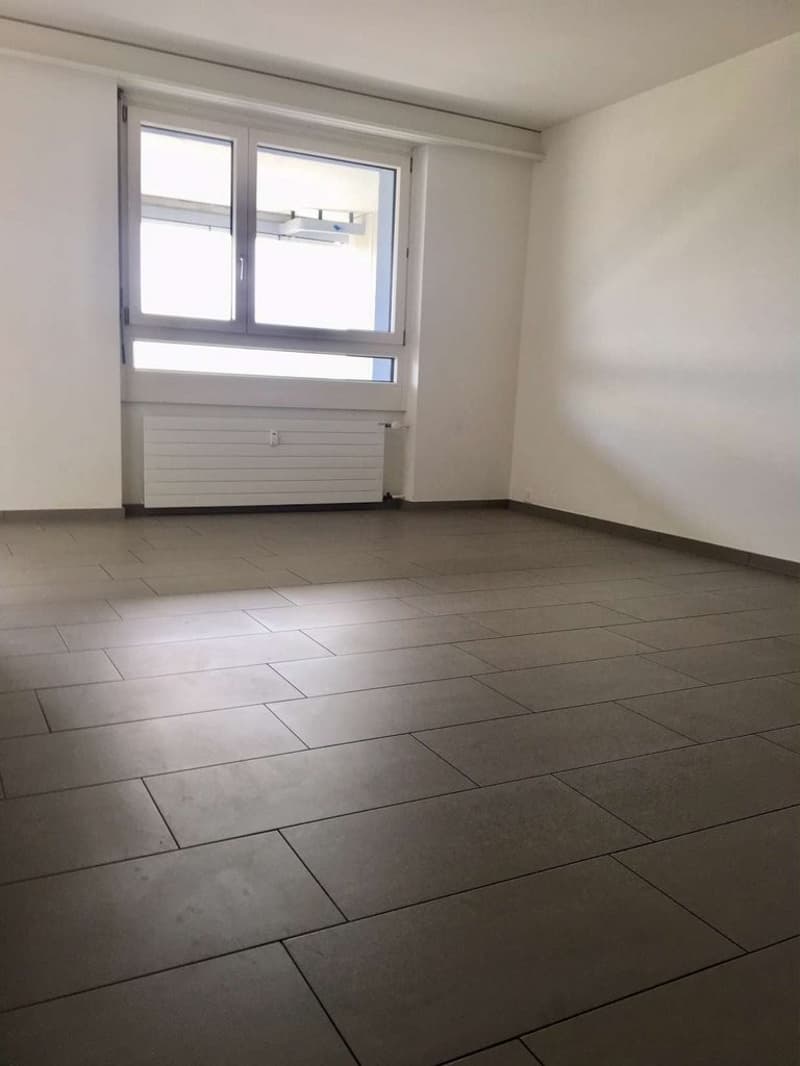 Wohnen mit Aussicht - Ihr neues Zuhause an bester Lage in Solothurn (5)