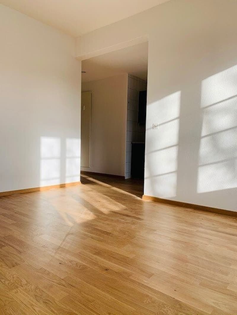 Helle Wohnung an ruhiger Lage (5)