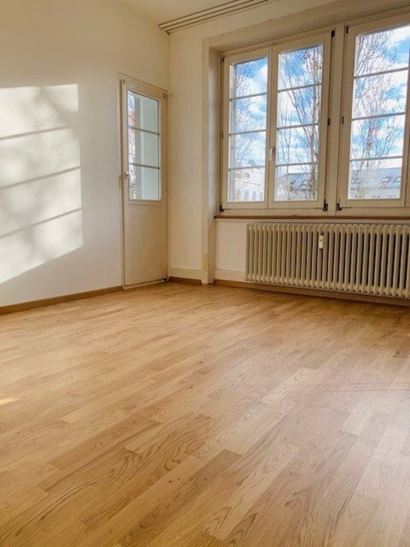 Helle Wohnung an ruhiger Lage (4)
