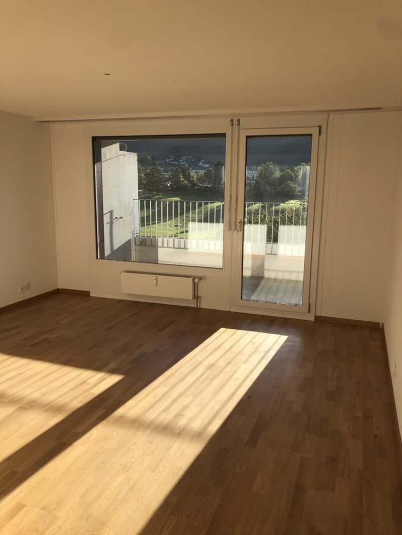 Attikawohnung mit Bergsicht im Lutertal (6)