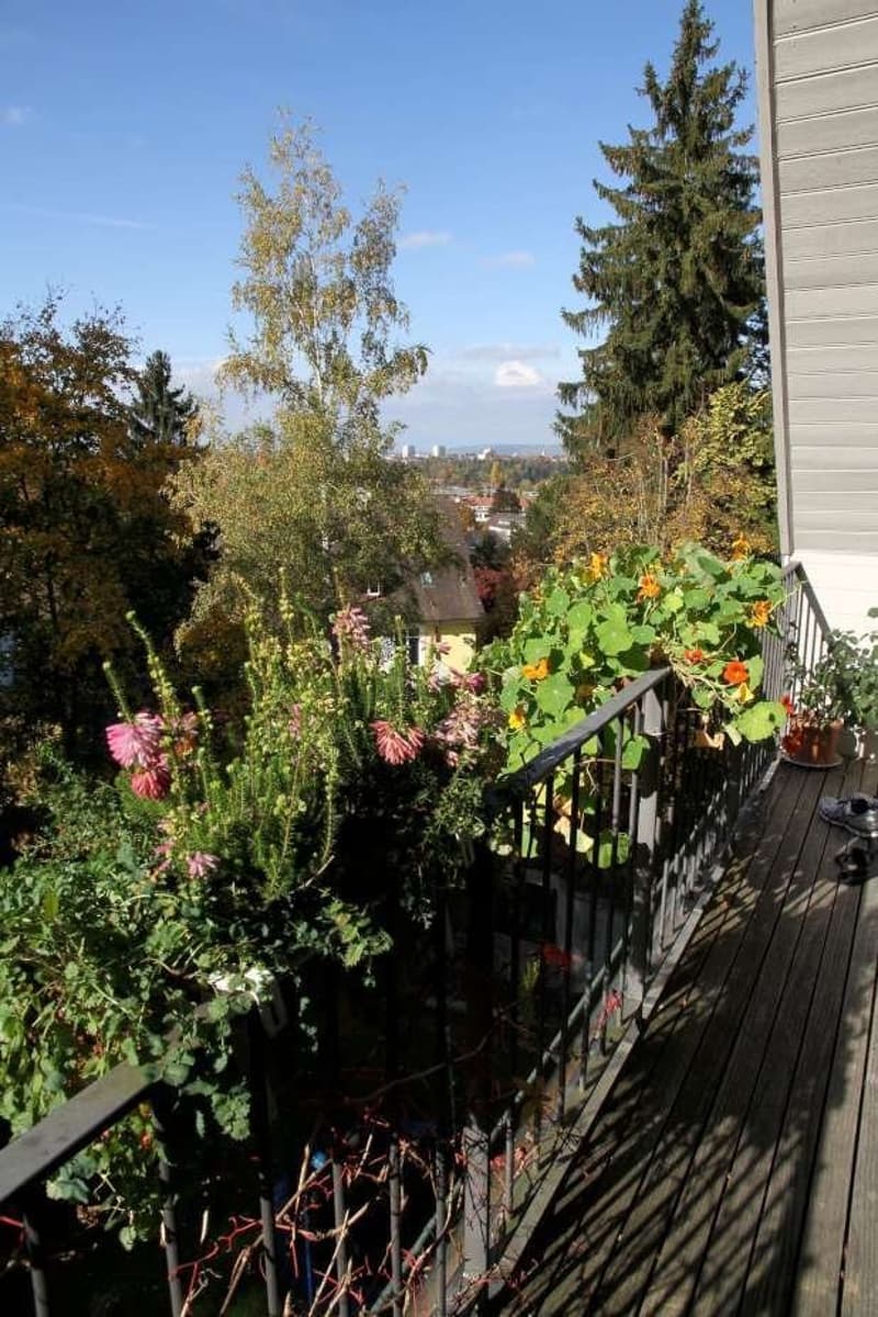 Maisonette-Wohnung mit besonderem Charme und Blick ins Grüne (11)