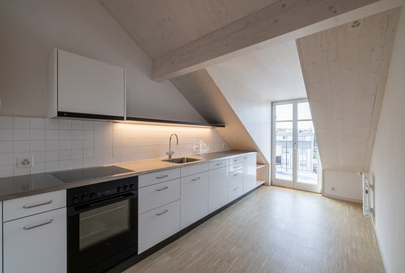 Geniessen Sie Basel auf der eigenen Dachterrasse (2)