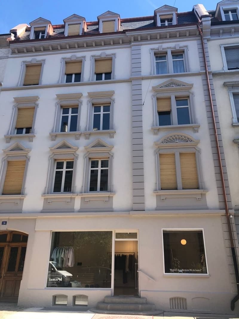 Geniessen Sie Basel auf der eigenen Dachterrasse (6)