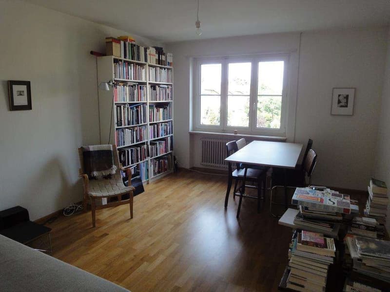 ruhiges Wohnquartier (4)