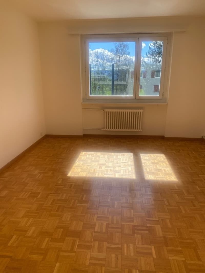 Zimmer.jpg
