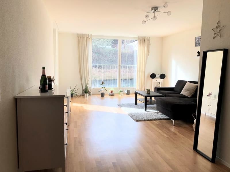 Moderner Wohntraum (5)