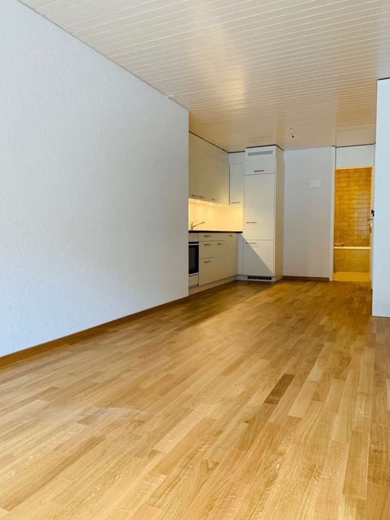 Schöne Wohnung an ruhiger Lage (5)