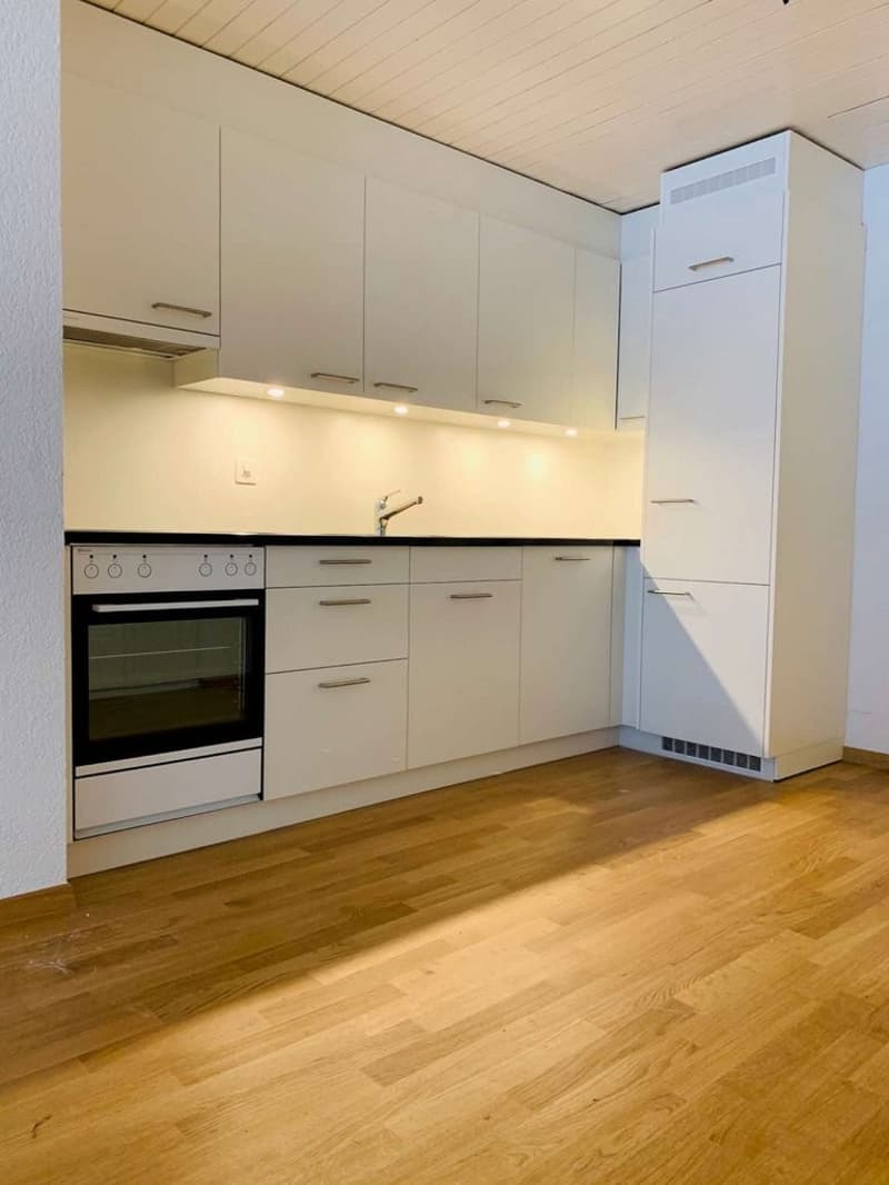 Schöne Wohnung an ruhiger Lage (3)